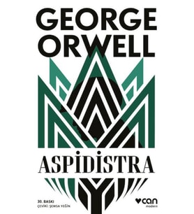 Aspidistra