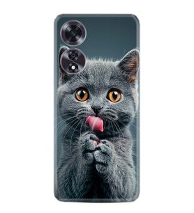Oppo A60 Kılıf Boutique Baskılı Resimli Komik Kedi Pcode -008