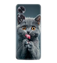 Oppo A60 Kılıf Boutique Baskılı Resimli Komik Kedi Pcode -008