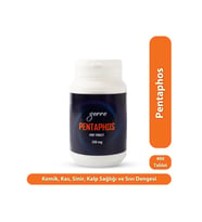 Zerre Doku Tuzu Schüssler Mineral Pentaphos 400 Tablet (Krem)