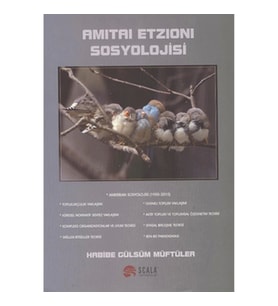 Amitai Etzioni Sosyolojisi