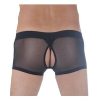 Giyim  Br291121 Transparan Arkası Açık Mini Boxer