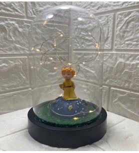 Küçük Prens Terraryum Fanus Işıklı Led Işıklı Fanus Pilli