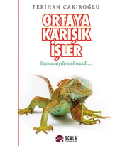 Ortaya Karışık İşler