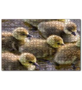 Cakapuzzle Gölde Yüzen Sarı Ördek Yavruları Puzzle Yapboz MDF (Ahşap) (120 Parça)