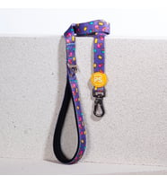 Pawstar Ice Cream Köpek Gezdirme Kayışı 120 cm x 2 cm