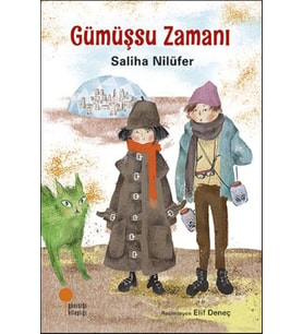 Gümüşsu Zamanı
