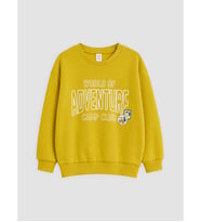 LCW Kids Yeşil Baskılı Erkek Çocuk Kalın Sweatshirt