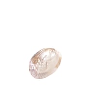 Deniz Kabuğu Tütsülük (Naturel)