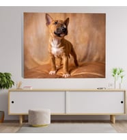 Yakın Çekim Bebek Terrier Köpek Dekoratif Kanvas Tablo