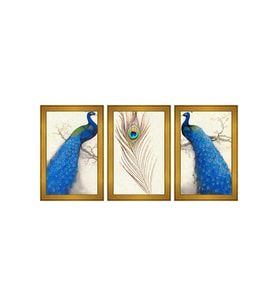 Mavi Tavus Kuşu Temalı 3 lü Kanvas Tablo Seti 150 x 70 cm Gold Çerçeve