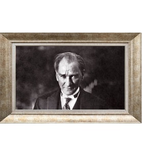 GÜMÜŞ ÇERÇEVELİ TABLO N1217