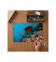 Renkli Okuyanus Balıkları Tasarımı 240 parça Ahşap Puzzle Ahşap Kutuda MP09267