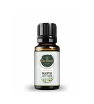 Okaliptüs Uçucu Yağı, Buhurdanlık, Ortam Kokusu 10 Ml