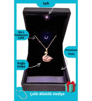 Işıklı Premium Kutuda  Kuğu Çelik Kolye  316l Çelik - Kararmaz  Hediye Paketi (Gold)