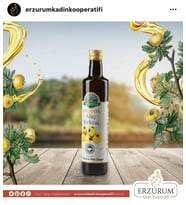 SAZLICA ALIÇ SİRKESİ