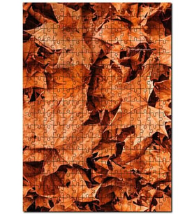 Cakapuzzle Yerde Kuru Sonbahar Yaprakları Puzzle Yapboz MDF (Ahşap) (120 Parça)