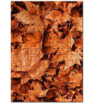 Cakapuzzle Yerde Kuru Sonbahar Yaprakları Puzzle Yapboz MDF (Ahşap) (120 Parça)