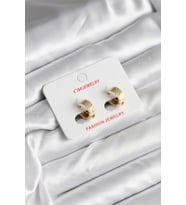 14K Gold Renk Kaplama CM Kadın Küpe TJ-BKP11413