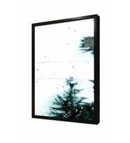 Tablosan Yağmurlu Cam Ağaç Manzarası Çerçeveli Cam Tablo