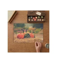 Renkli Balkabakları Tasarımı 240 parça Ahşap Puzzle Ahşap Kutuda MP05094