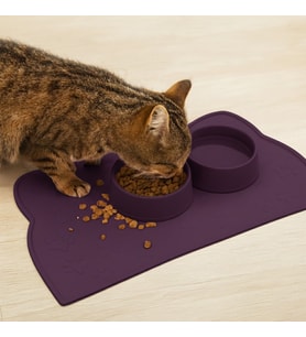 %100 Silikon Kaymaz Kedi Mama Matı (42x28 cm) (Fuşya)