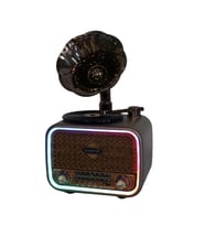 Everton Rt-709 Gramafonlu Bluetooth Fm-Usb-Tf-Aux Şarjlı Nostaljik Radyo