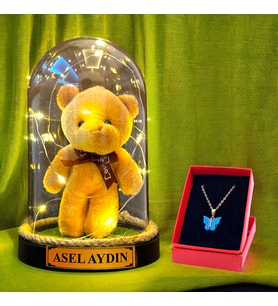 Kişiye Özel Peluş Ayıcıklı Büyük Boy Fanus, Led Işıklı ve Kelebek Kolyeli Hediye Seti HA1 (Krem)