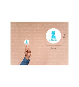 3 Cm (95 Adet) Mavi 1 Month Etiketi Puanlı Bir Aylık Yuvarlak Mat Çıkartma Bebek Cute Round Sticker