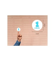 3 Cm (95 Adet) Mavi 1 Month Etiketi Puanlı Bir Aylık Yuvarlak Mat Çıkartma Bebek Cute Round Sticker