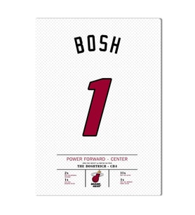 Chris Bosh Forma Kanvas Tablo 40x55cm NBA Miami Heat Jersey