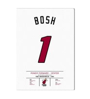 Chris Bosh Forma Kanvas Tablo 40x55cm NBA Miami Heat Jersey
