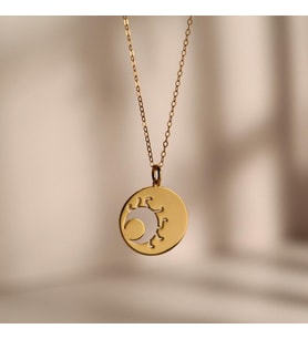 Kişiye Özel 925 Ayar Gümüş Tasarım Böcek Kolye (Gold)
