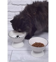 2'li Ayaklı Seramik Mama Ve Su Kabı (400ml)