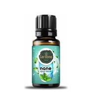 Nane ( Oda Kokusu Aroma Terapi Buhurdanlık / Difüzör Yağı ) 10 ML