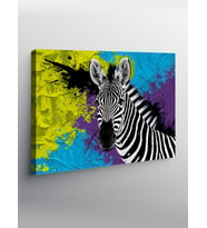 Kanvas Tablo Zebra Renk Patlaması