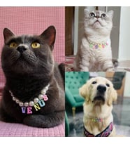 İsimli İnci Boncuklu Yetişkin Kedi/ Küçük-Orta Irk Köpek Tasması
