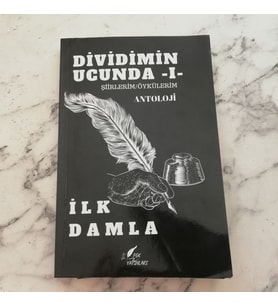 Dividimin Ucunda 1  İLK DAMLA Şiirlerim/Öykülerim ANTOLOJİ FGK YAYINLARI