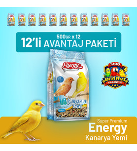 Kanarya Yemi 500 g - 12 Adet