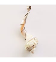 Sea Shell Spiral Kolye Ucu
