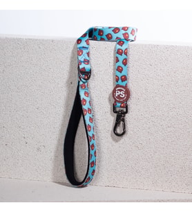 Pawstar Bears Köpek Gezdirme Kayışı 120 cm x 2 cm