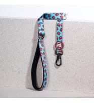 Pawstar Bears Köpek Gezdirme Kayışı 120 cm x 2 cm