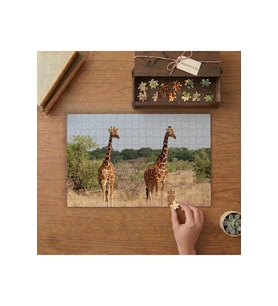 Doğada Züraafalar Tasarımı 240 parça Ahşap Puzzle Ahşap Kutuda MP07952