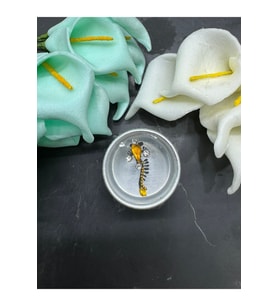 Yüz taşı Face Gems Yapışkan Burun Parmak Hızma Model1