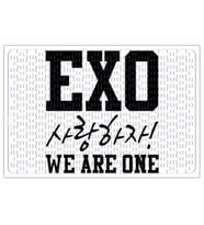 Exo We Are One Puzzle 240 Parça Yapboz