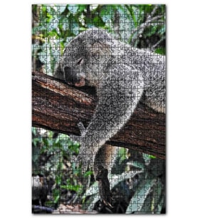 Cakapuzzle Dalda Uyuklayan Koala Puzzle Yapboz MDF (Ahşap) (120 Parça)