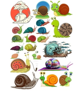 Salyangoz Sticker Set 5 20 Parça Telefon, Tablet, Defter, Laptop Sticker