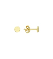 14 Ayar Minik Altın Küpe 0,57 gr