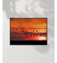 Gün Batımında Kuşlar Poster