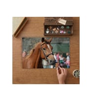 Asil Duruş - Kahverengi Atın Portresi Tasarımı 240 parça Ahşap Puzzle Ahşap Kutuda MP07411
